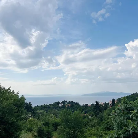 Ruscus, Veprinac, *